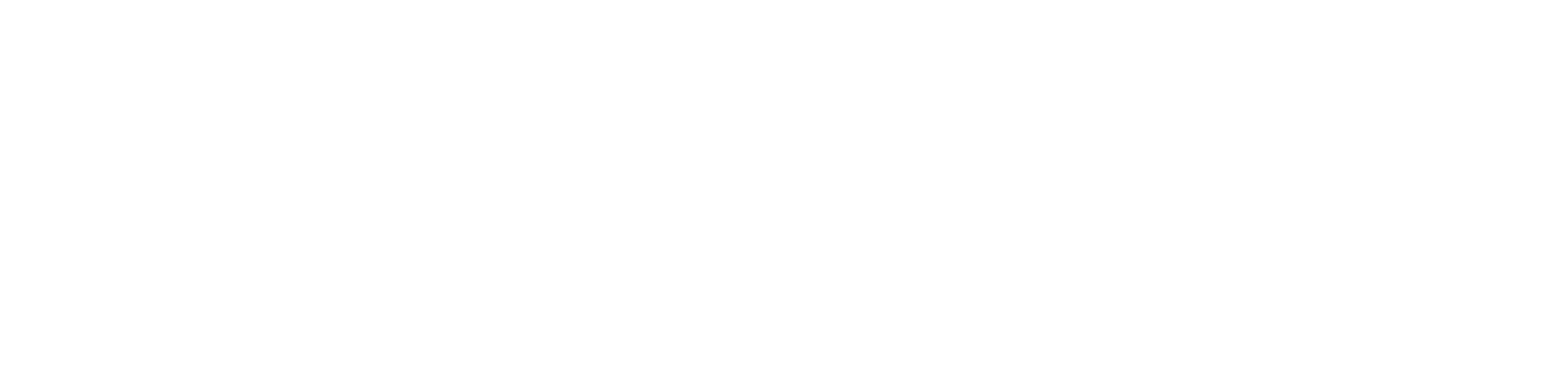 Taurus Arena